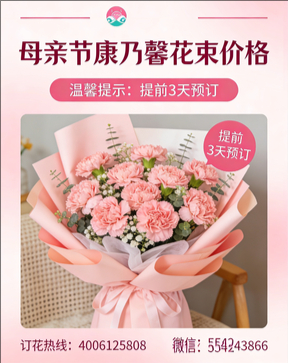 天水秦安县花店母亲节康乃馨花束