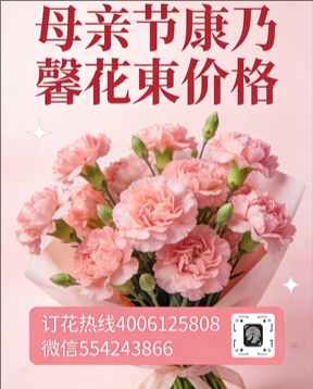 天水秦安县花店母亲节康乃馨花束